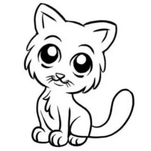 Как да се направи коте 1 (коте) Как да се направи коте 1