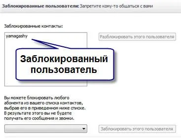Как да се създаде Skype на компютъра ви, блог майстор компютър