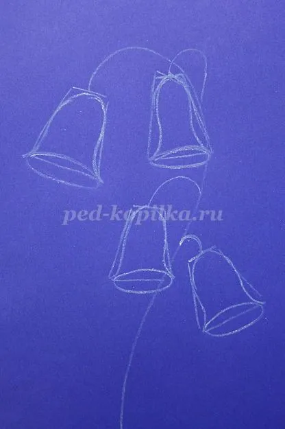 Как да нарисувате цвете звънци етапи