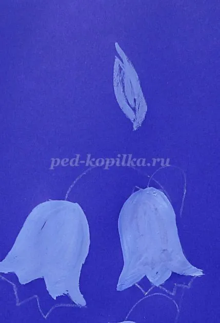 Как да нарисувате цвете звънци етапи