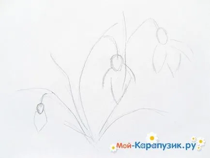 Как да се направи молив кокичета в етапа