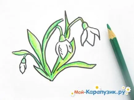 Как да се направи молив кокичета в етапа
