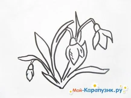 Как да се направи молив кокичета в етапа