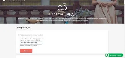 Как да намерите глоба на номера на резолюция, водачът на автомобил