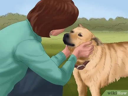 Как да общуваме с кучето си