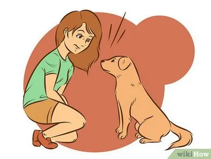 Как да се отбие куче от похотливо поведение