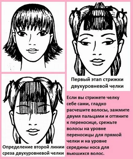 Как да отрежа бретон на една страна или на самото право, инструкции