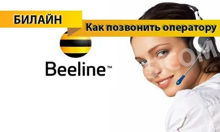 Как да се обадя Beeline оператор - подкрепа телефонни номера Beeline оператор