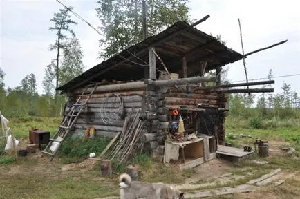 Как да се изгради една хижа в гората