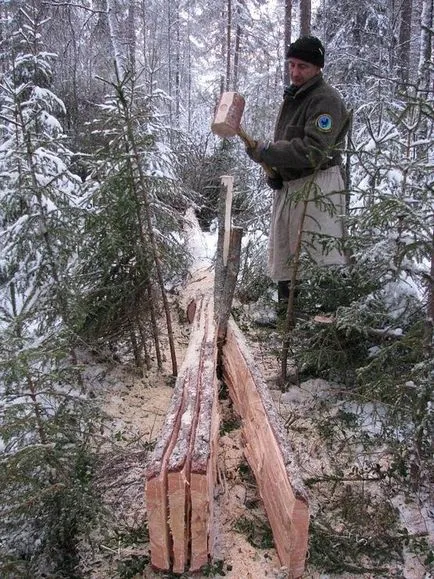 Как да се изгради една хижа в гората