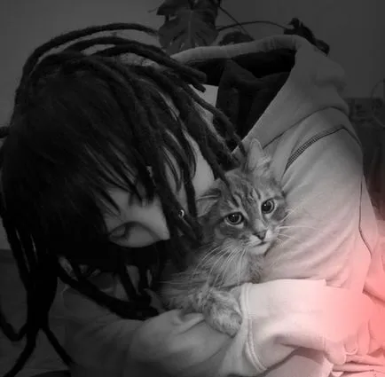 Котка ближе собственик човек червена котка (човек) Котка ближе лицето на домакин червена котка