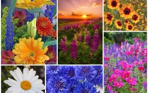Как да носите и какво да комбинирате цвета на роклята тюркоаз