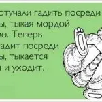 Как да привикнат котката в тоалетната на ново място, без тава пълнител, възрастен улица, котка и