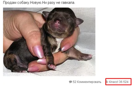 Как да се насърчи група и съученици