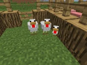Как да се размножават животни в Minecraft (тор на костно брашно) Как да се размножават животни в Minecraft