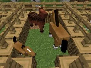 Както порода животни в Minecraft (maynkraft разреждане) Как да се размножават животни в Minecraft
