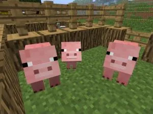 Като порода животни в Minecraft (Minecraft) Как да се размножават животни в Minecraft