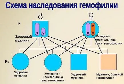 Как да решим проблемите на генетиката на биологията