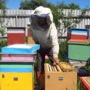 Как да си направим кошери за пчели със собствените си ръце у дома инструкции стъпка по стъпка с рисунки и (правя) Как да си направим кошери за пчели със собствените си ръце у дома инструкции стъпка по стъпка с рисунки и