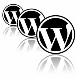 Как да се скрие използването на WordPress - материали с авторски права на Vkontakte на промоция, WordPress чипове