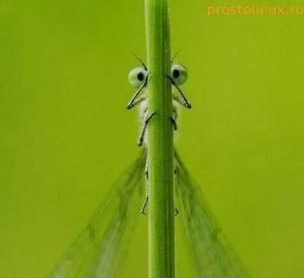 Как да скриете връзката от търсачките и хората