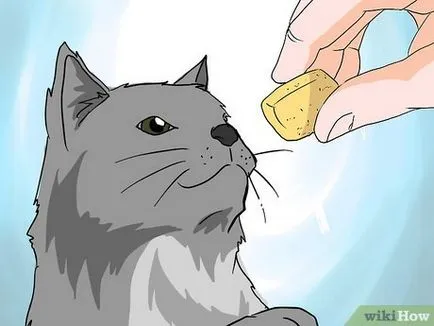 Как да се справим с косопад при котките