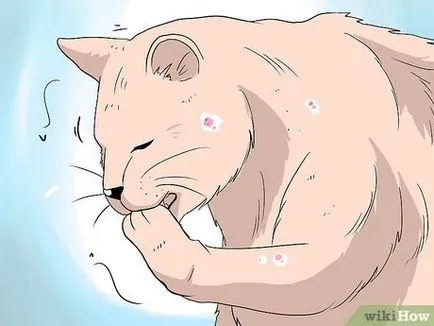 Как да се справим с косопад при котките