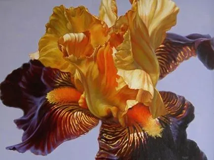 Легендарни цветя ирис (Iris)