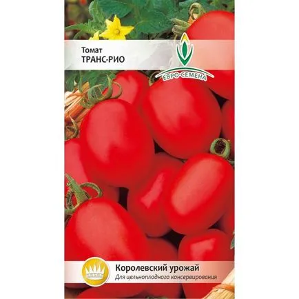 Най-добрите сортове домати описание и снимка, домашно стопанство (домати) Най-добрите сортове домати описание и снимка, домашно стопанство