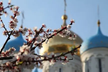 Как да стане светец 2