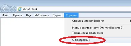 Откъде знаеш името и версията на браузъра си