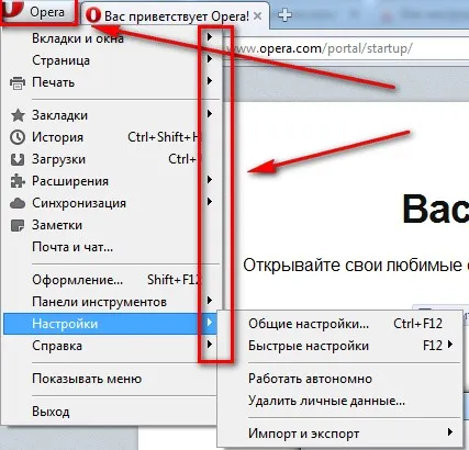 Как да инсталирате на компютъра си Opera