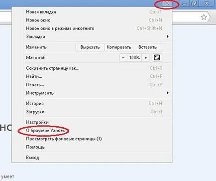 Откъде знаеш името и версията на браузъра си