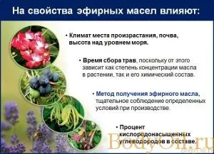 Как да изберем най-добрата етерично масло