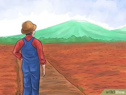 Как да расте ориз