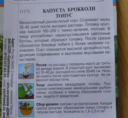 Как да расте разсад от зеле в дома - на правилата за отглеждане и грижа