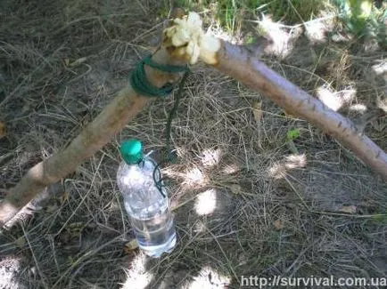 Как да ври вода в пластмасова бутилка в огъня - quaer (кипене) Как да ври вода в пластмасова бутилка в огъня - quaer