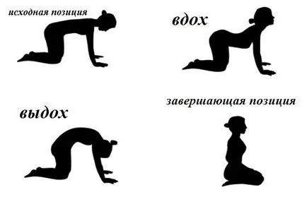 Как йога у дома