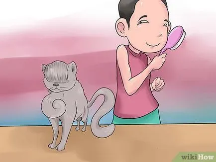 Как да се грижи за котката