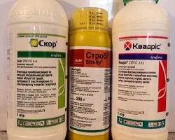 Калиев нитрат (калий) приложение - това, което е необходимо структура (нитрат) Калиев нитрат (калий) приложение - това, което е необходимо структура