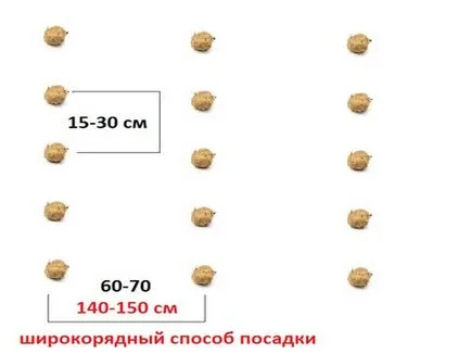 картофени капково характеристики, правила, срокове, организация на напояването режим