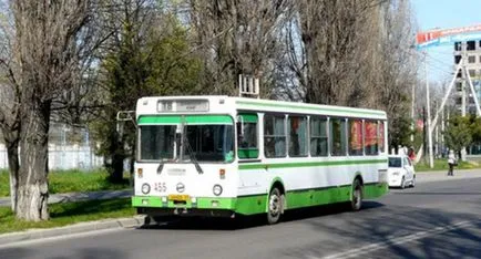 Кавказки Knot, Кавказ Новини