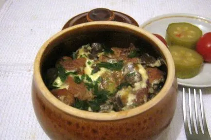 Картофи с гъби рецепти и снимки на ястия от картофи с гъби в пещ, гърне, тиган на
