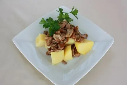 Картофи с гъби рецепти и снимки на ястия от картофи с гъби в пещ, гърне, тиган на
