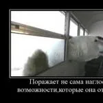 Когато се пие с приятелите ми - имаме забавно, всичко свършва добре, а когато с него - той реагира гневно (--- GT 7o6jpohmaqzj отговор) Когато се пие с приятелите ми - имаме забавно, всичко свършва добре, а когато с него - той реагира гневно