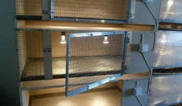 Клетки за пилета със собствените си ръце - бързо, евтино и удобно