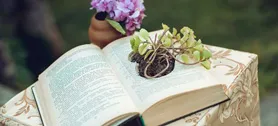 Корпорацията не разбират празници - сватби, корпоративни събития, промоции, презентации и Ужгород