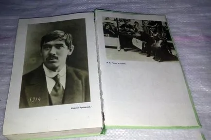 Корней Чуковски - биография, снимки, личен живот, приказки, книги (снимка) Корней Чуковски - биография, снимки, личен живот, приказки, книги