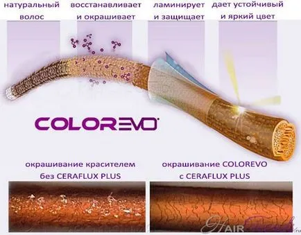 Evo селективна боя цветова палитра