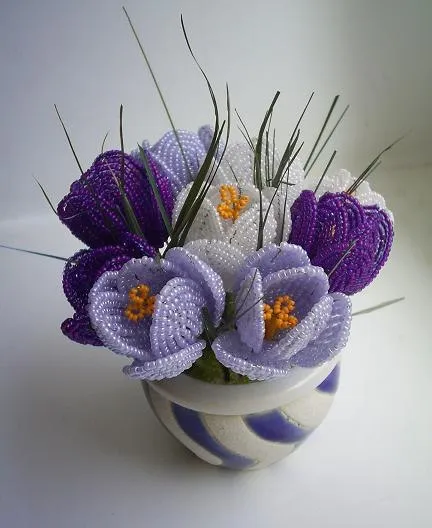 Crocus топчета